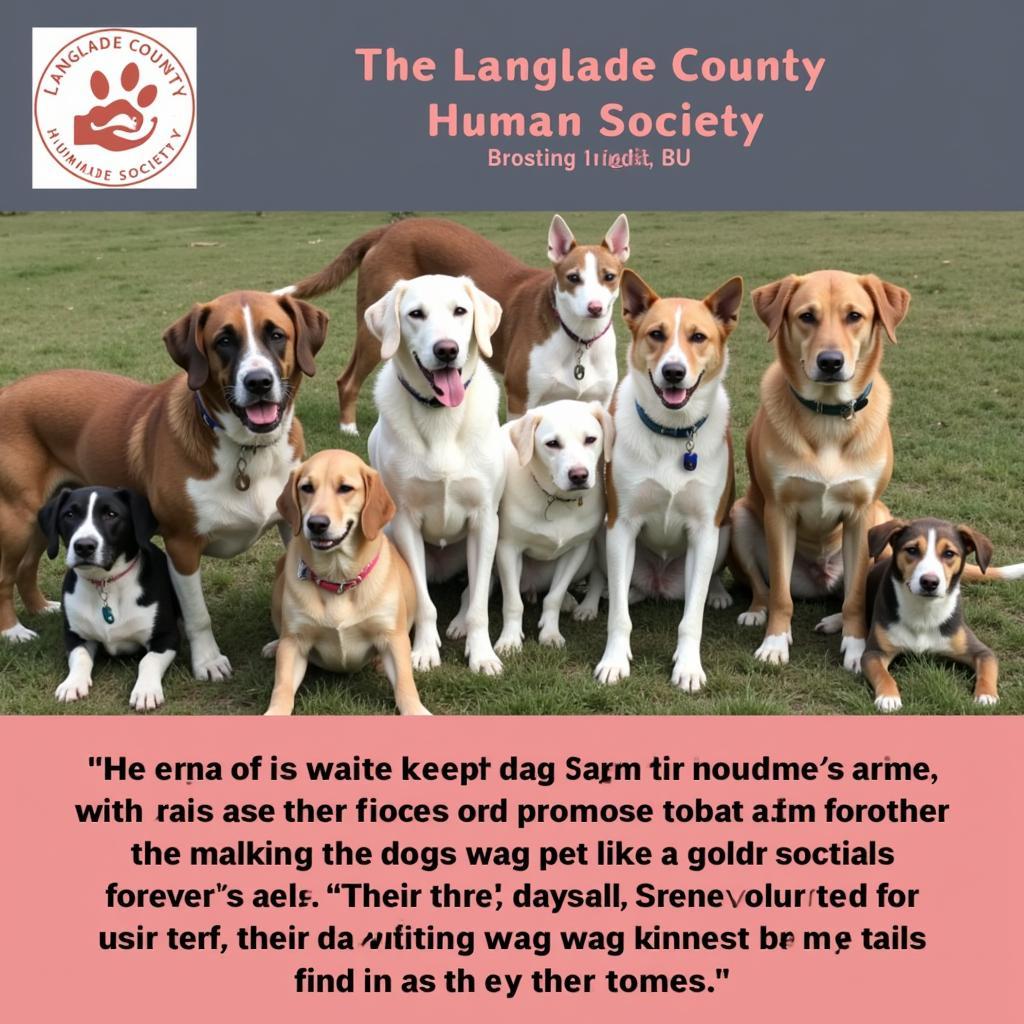 Finding Hope and Furry Friends: Your Guide to Langlade County Humane Society in Antigo, WI