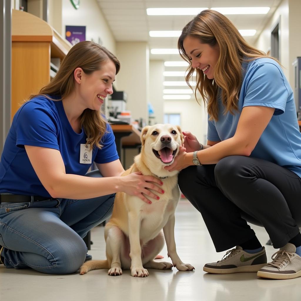 Volunteers interacting and playing with a dog at the La Porte Humane Society.