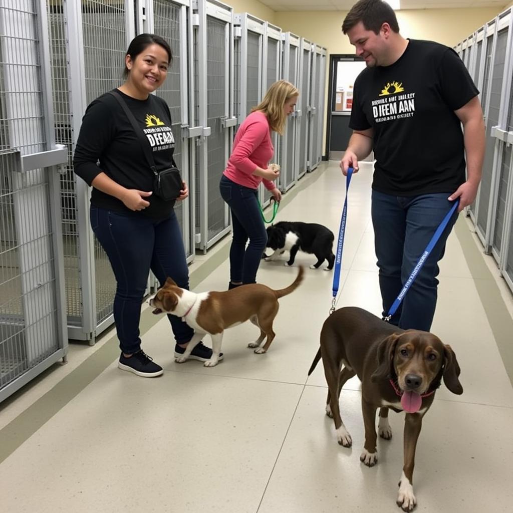 Lehigh Valley Humane Society Volunteers