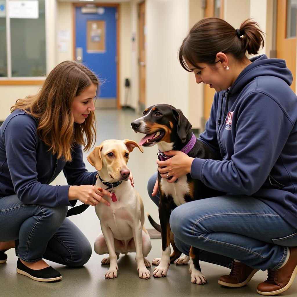 Volunteers at the Lincoln County Humane Society