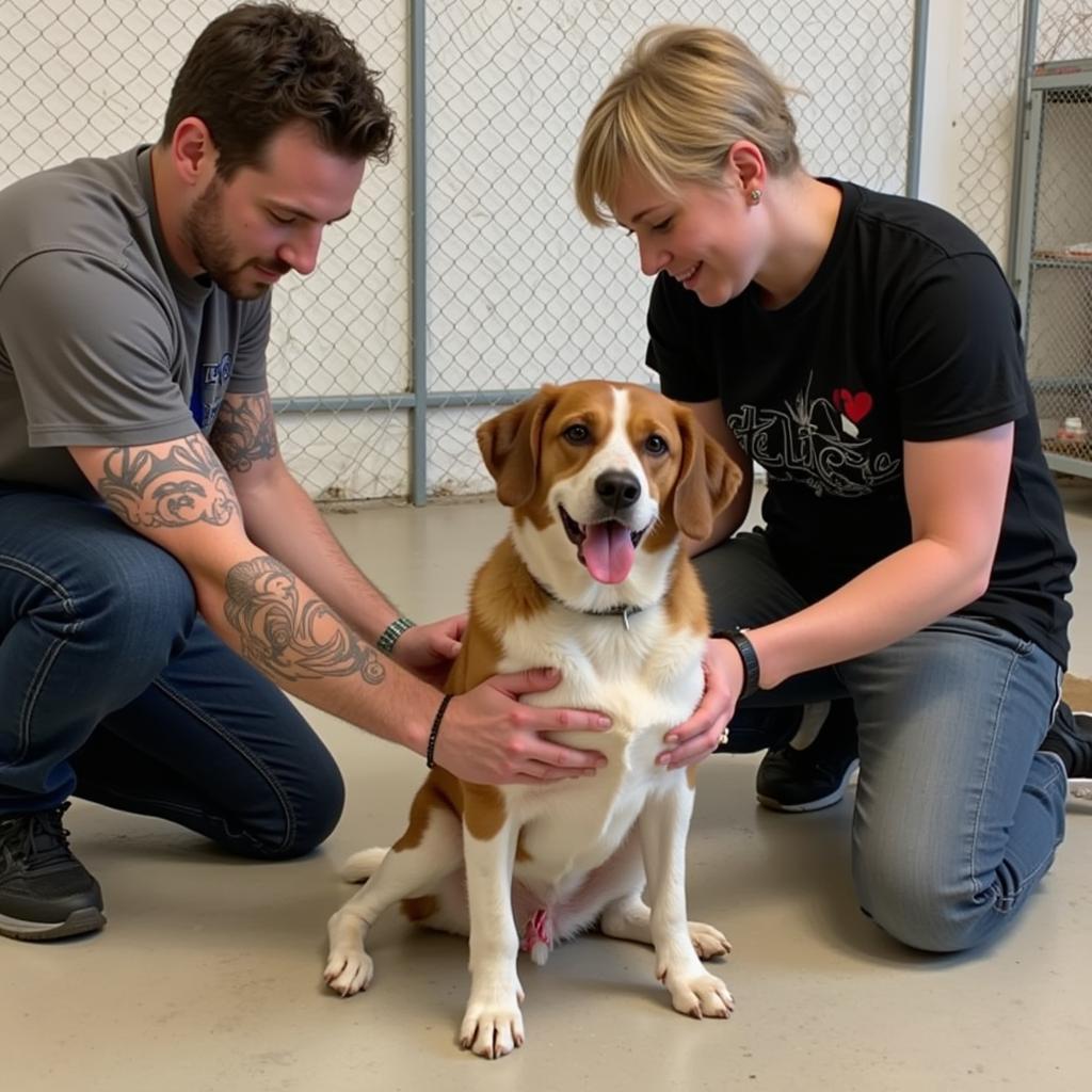 Lincoln County Humane Society Volunteers