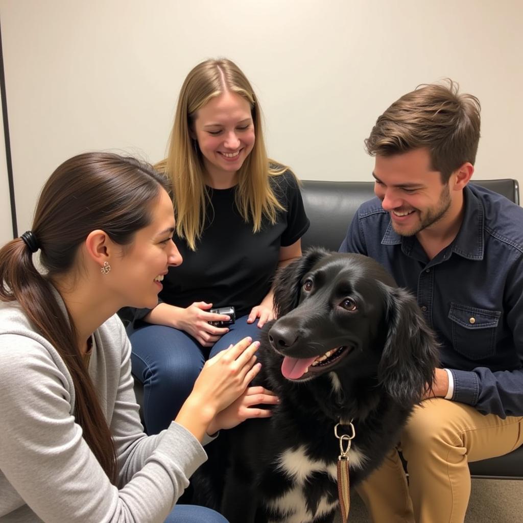 Dog adoption at the Longmont Humane Society