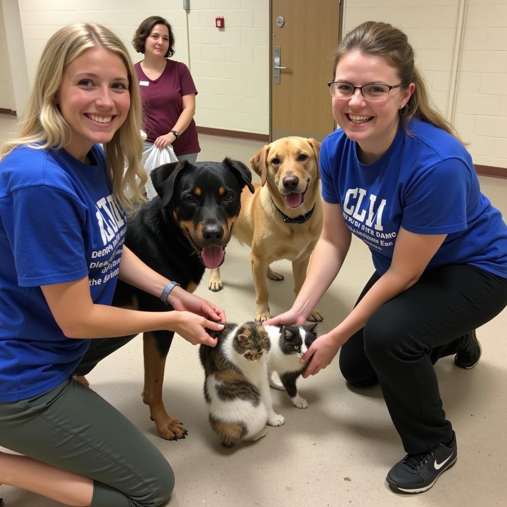 Volunteering at the Longmont Humane Society