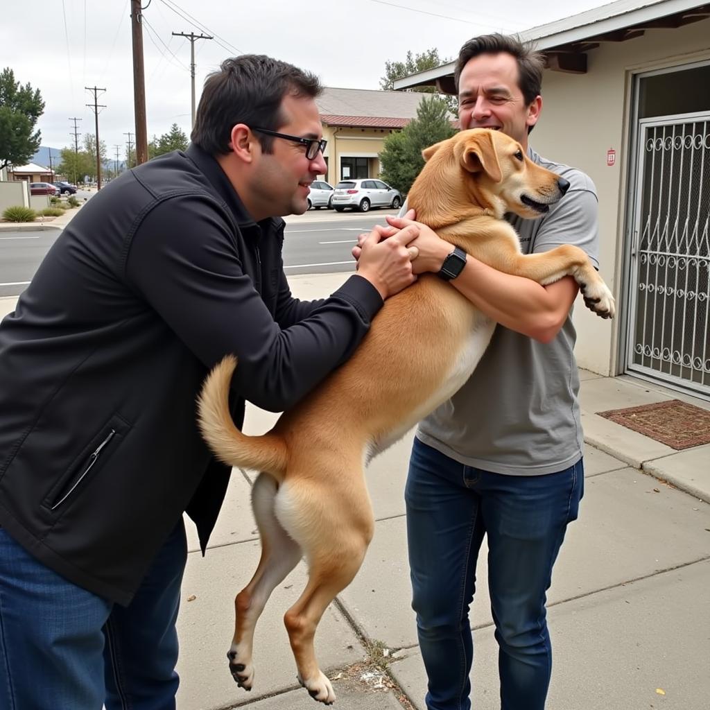 Reuniting a Lost Dog with Owner