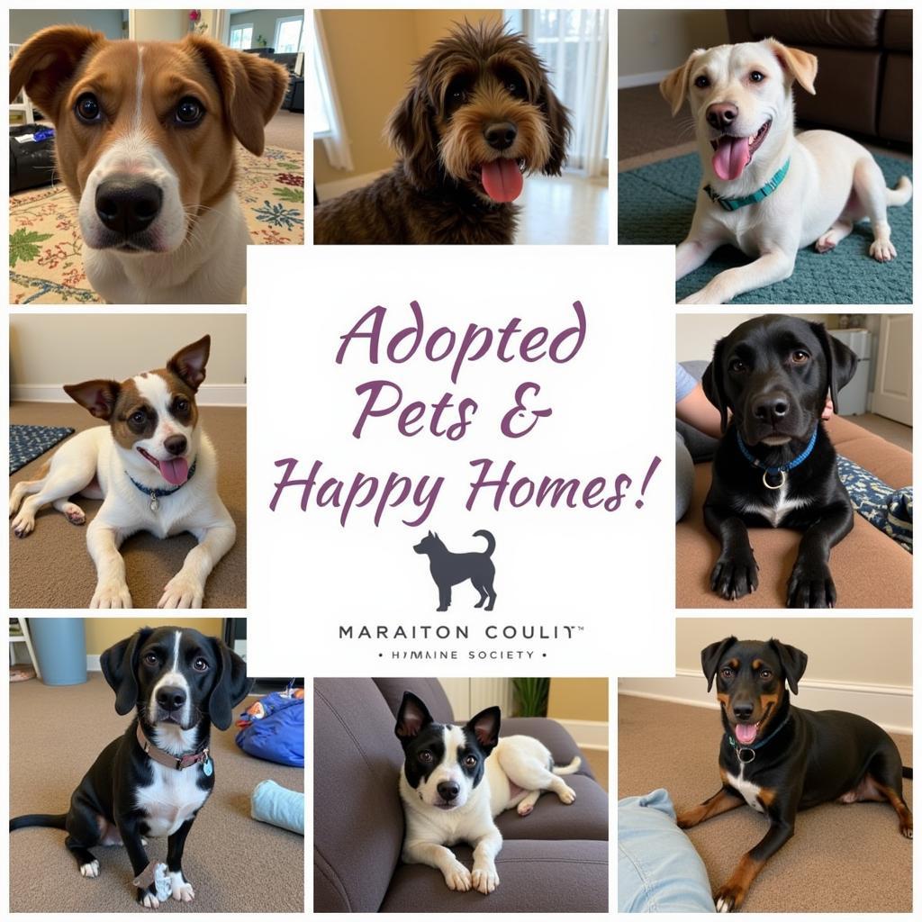 Happy Adopted Pets from Marathon County Humane Society