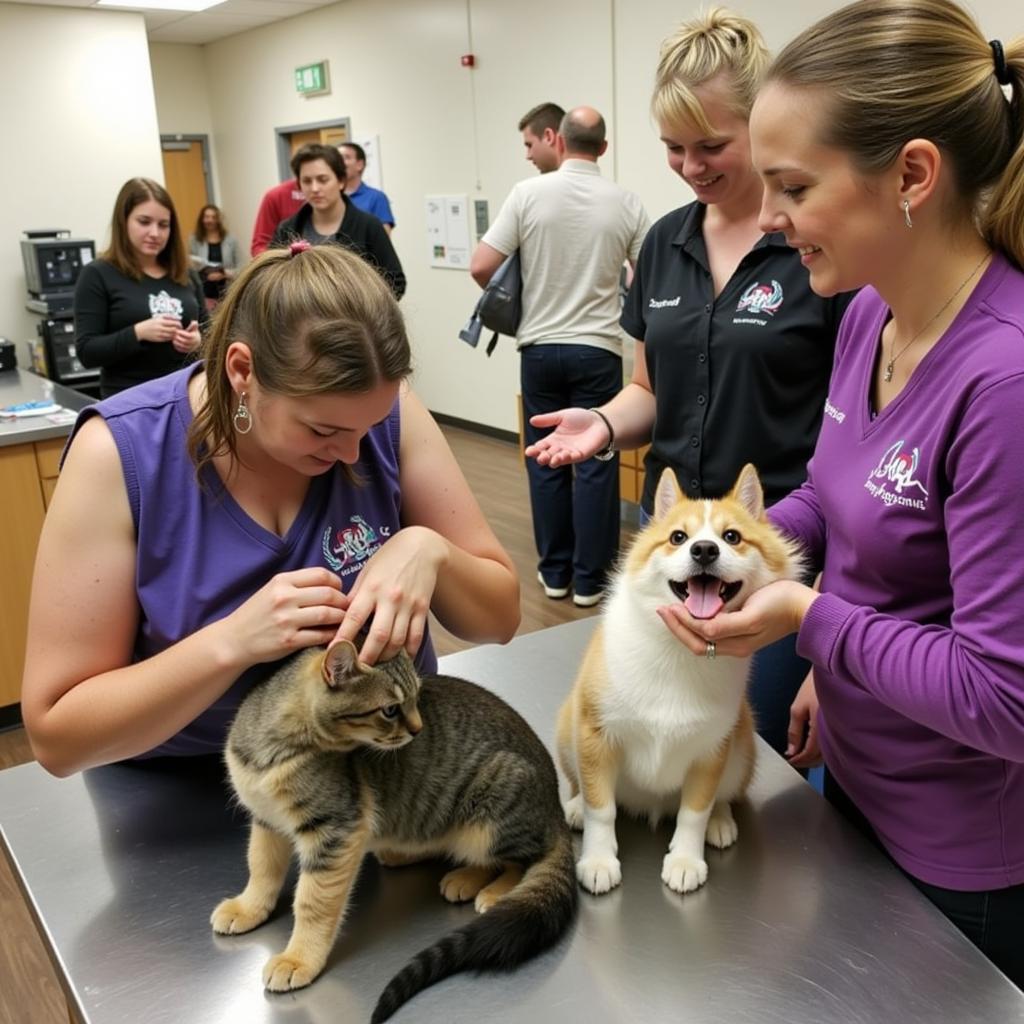 Volunteers playing with animals at the Marion County Humane Society