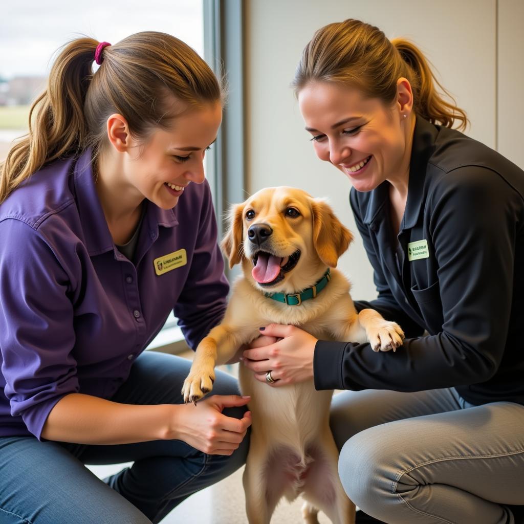 Volunteers playing with a rescued dog at the Marshalltown Humane Society