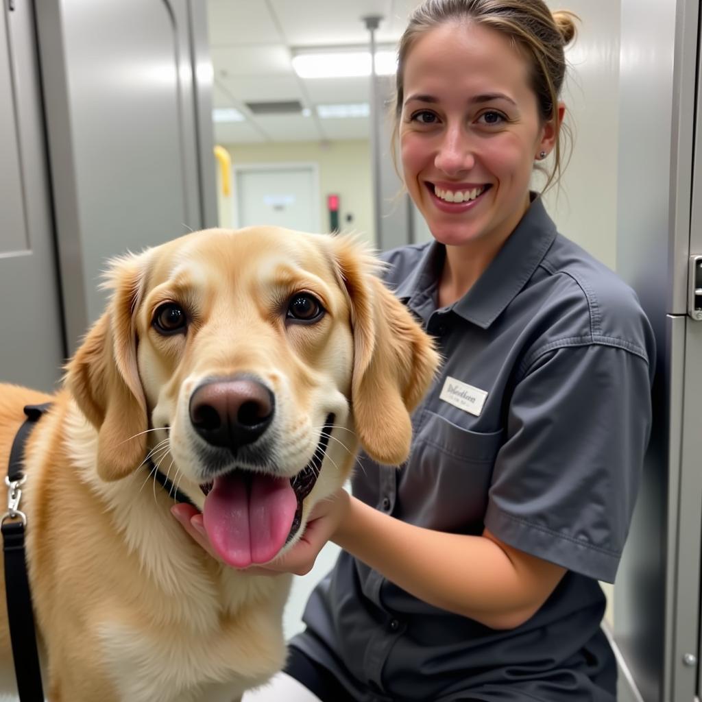 Caring for Animals at the MCHS