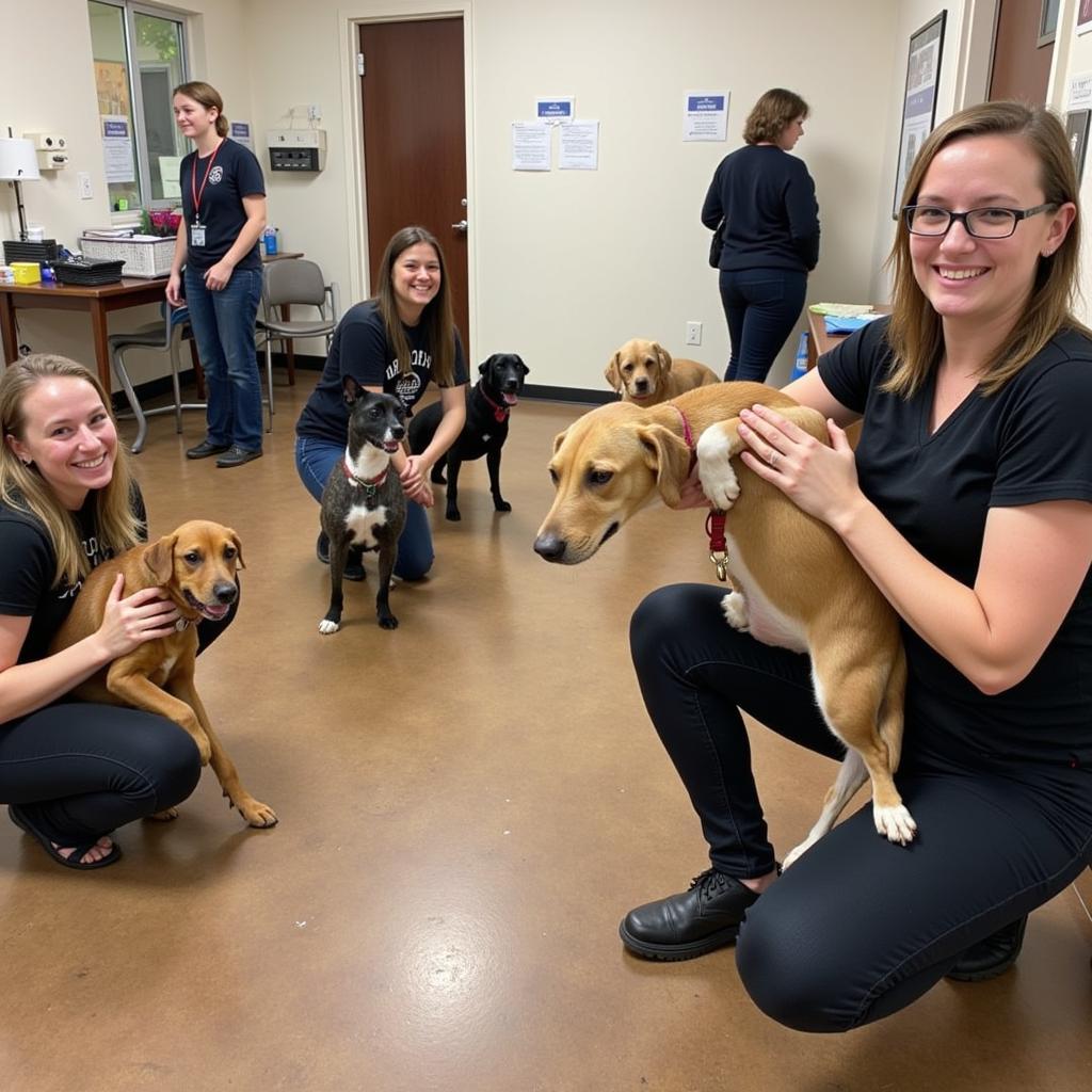 Volunteers at the Mason County Humane Society