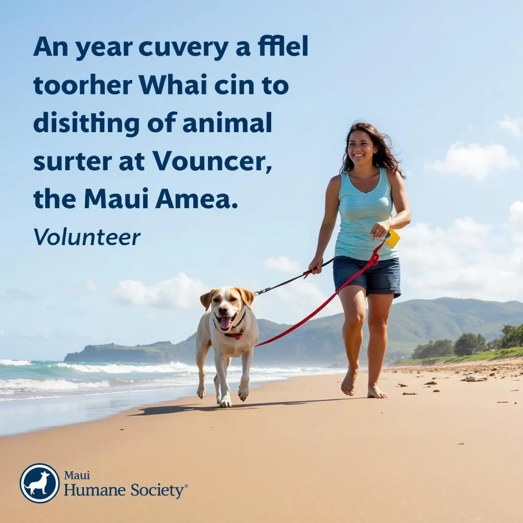 A volunteer walking a dog on the beach with the Maui Humane Society