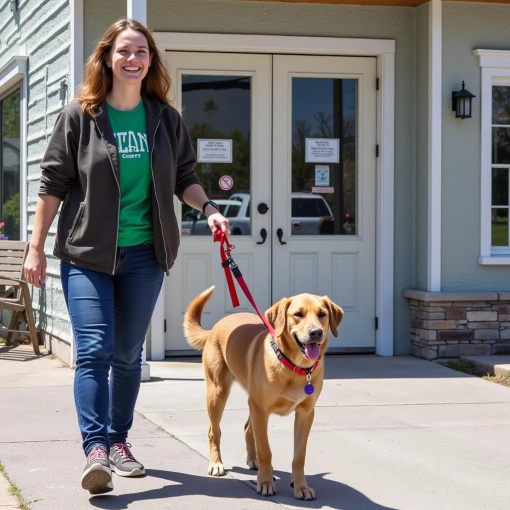 Volunteer walking a dog at MCHS