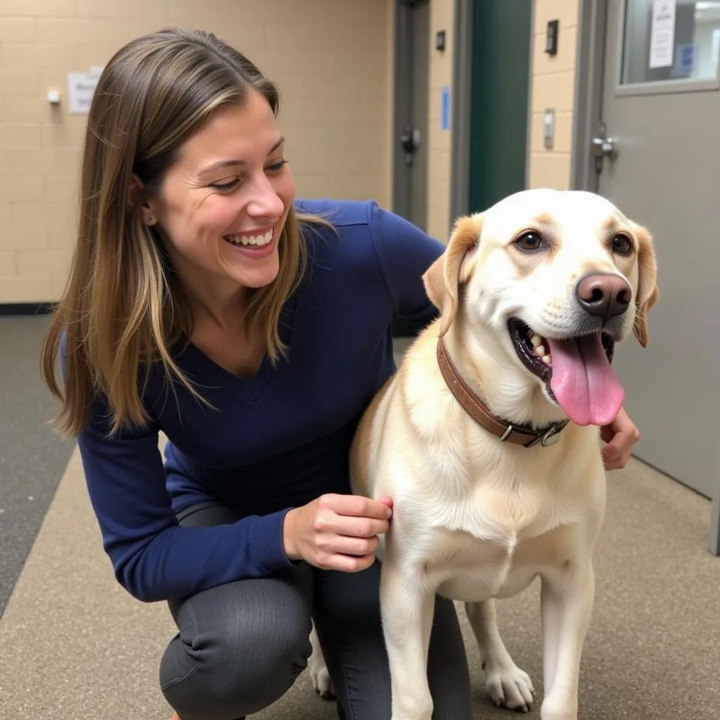 Meeting your new pet at Standish Humane Society: A heartwarming image of a person interacting with a dog or cat at the shelter.