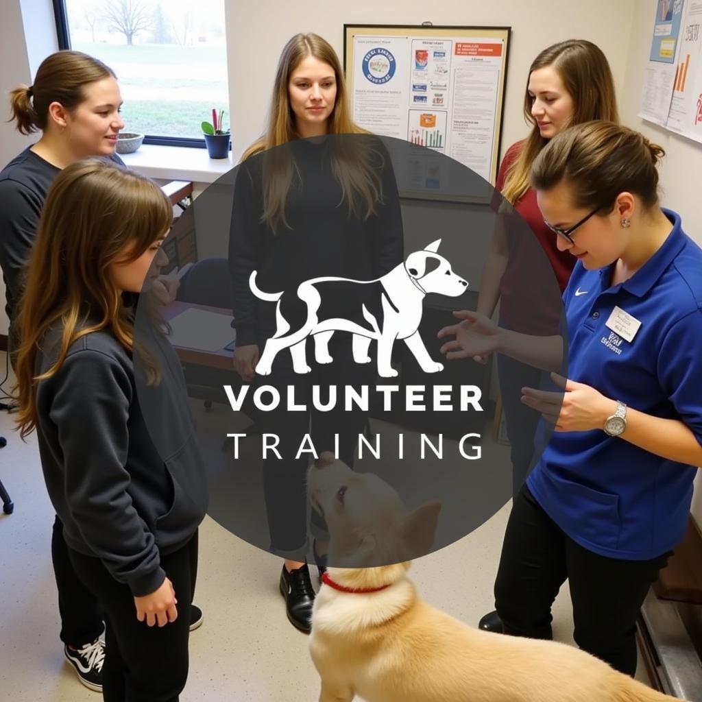 Michigan Anti-Cruelty Society Volunteer Training