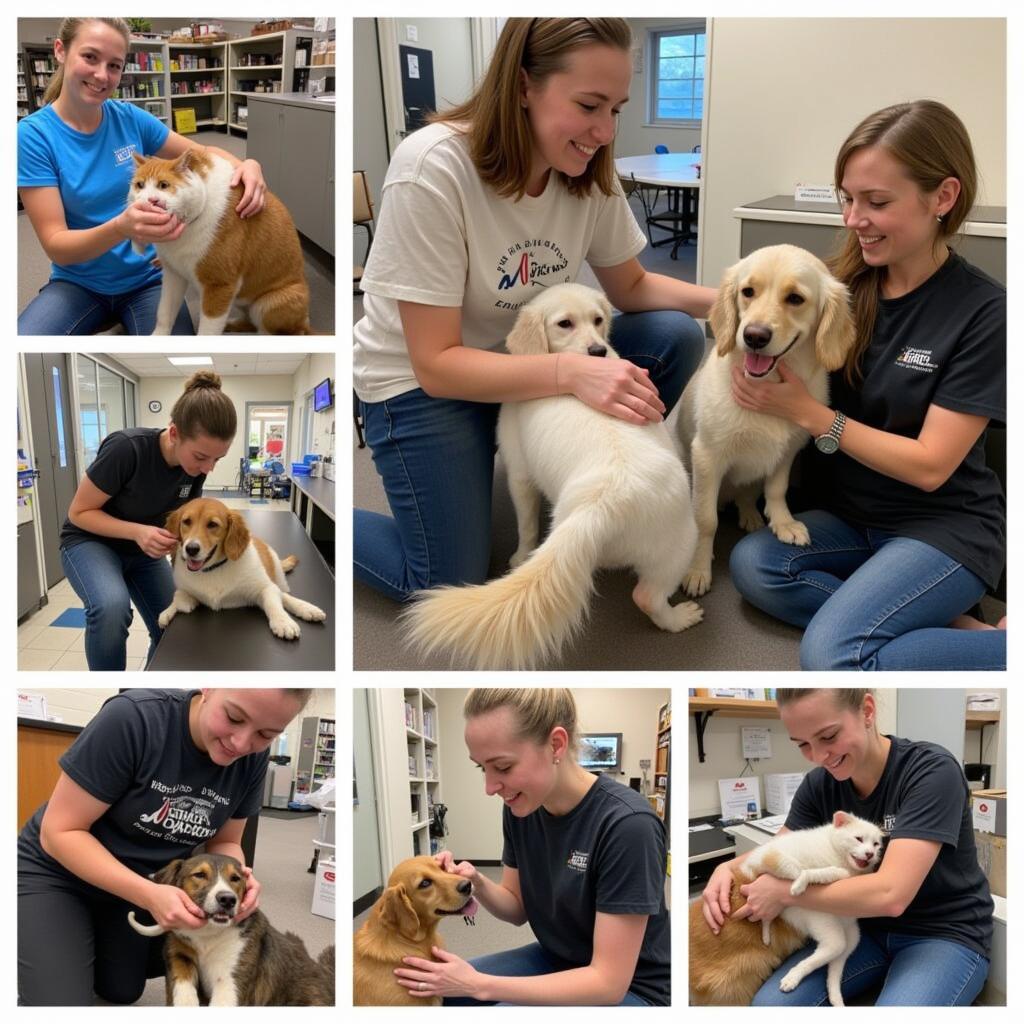 Volunteers at Mid Coast Humane Society