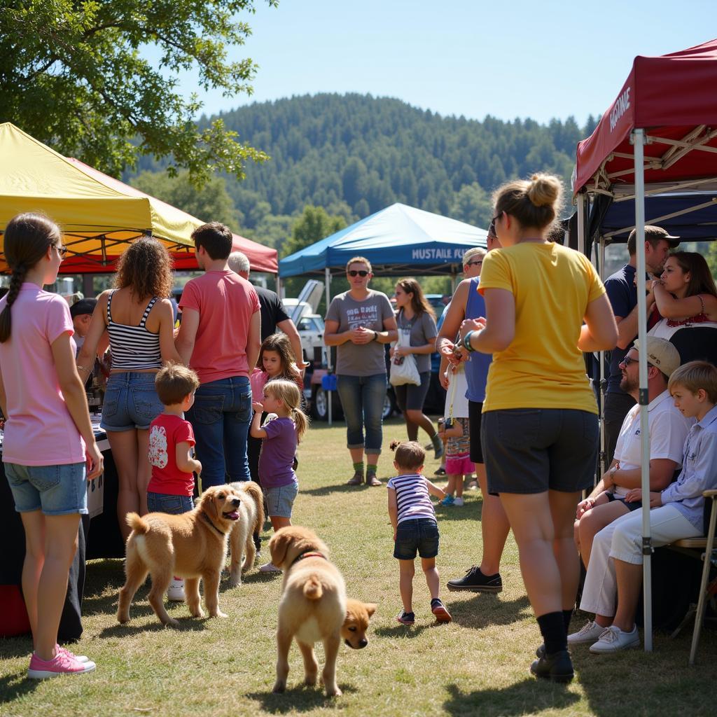 Adoption Event at Mountain Humane Society