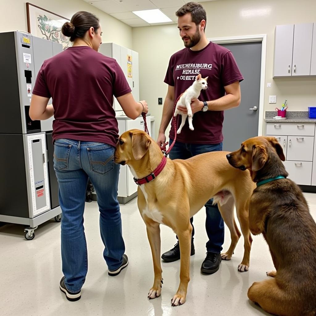 Muhlenberg Humane Society Volunteers Working with Animals