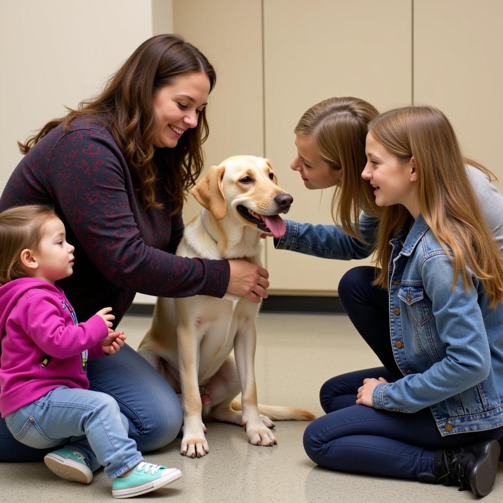 Naperville Humane Society Meet and Greet