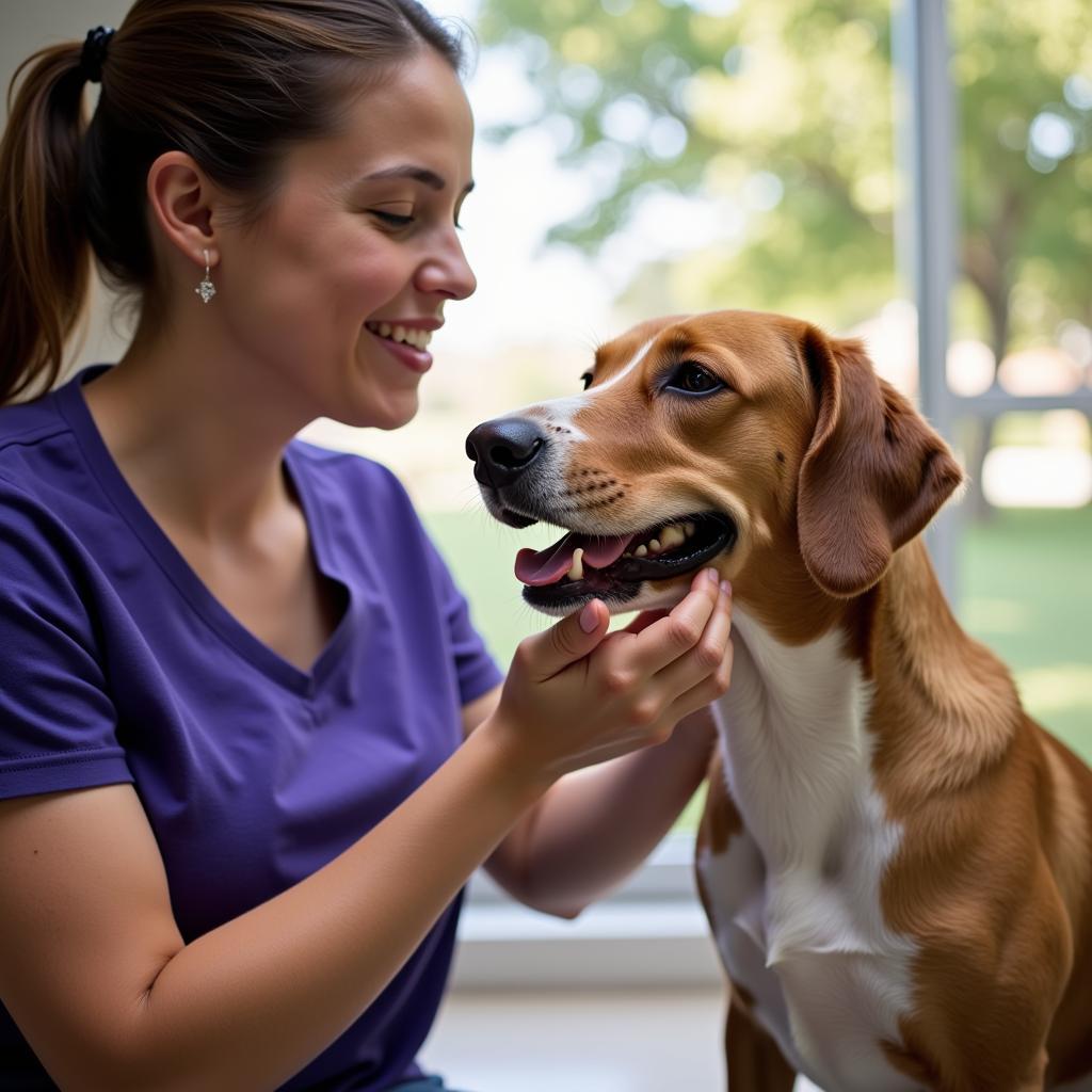 Volunteer comforting a rescued dog at the Nature Coast Humane Society