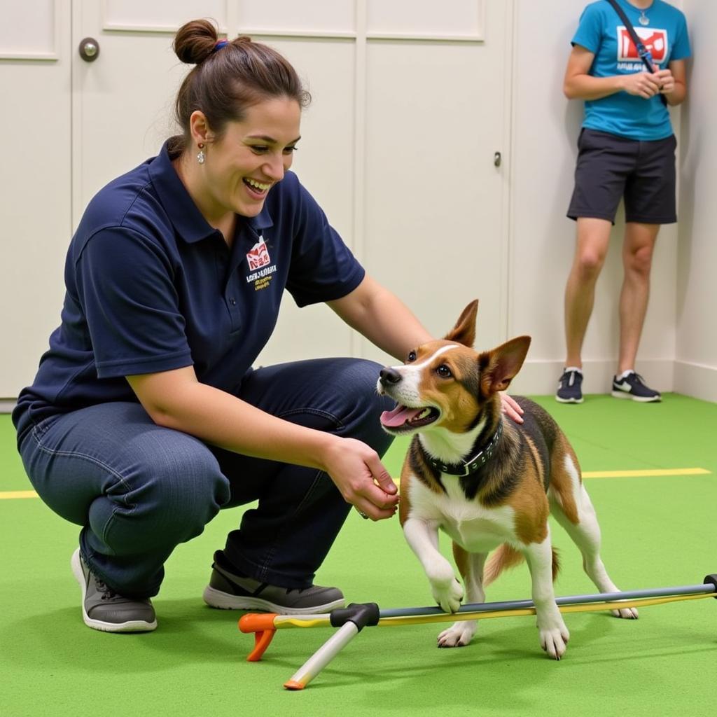 Nevada Humane Society Volunteer Dog Training