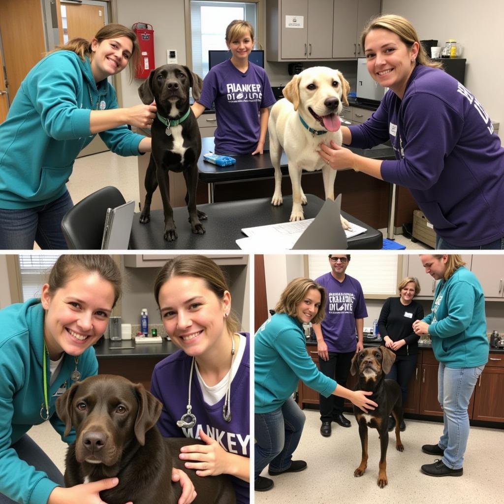 Volunteers working together at the New Hanover Humane Society