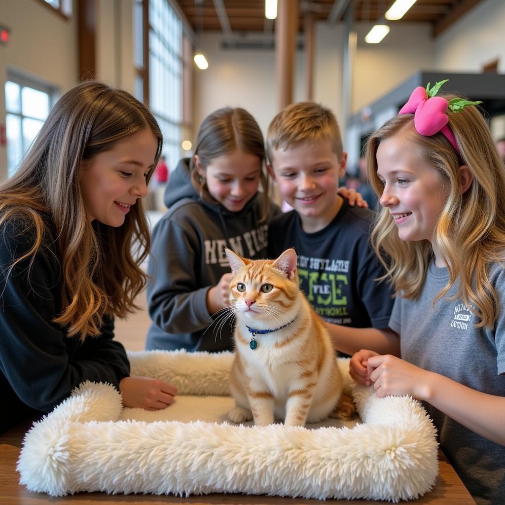 Family meeting a cat at the New Ulm Humane Society adoption event