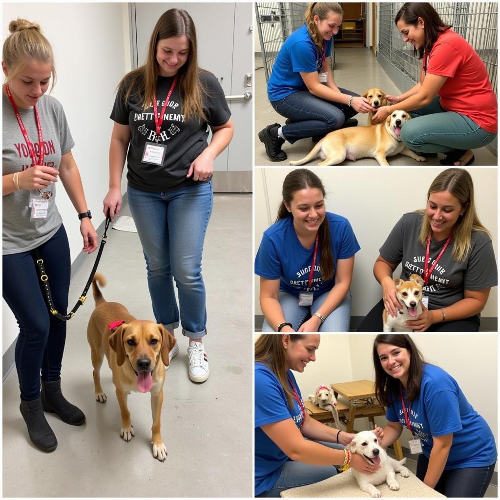 Newnan GA Humane Society Volunteers