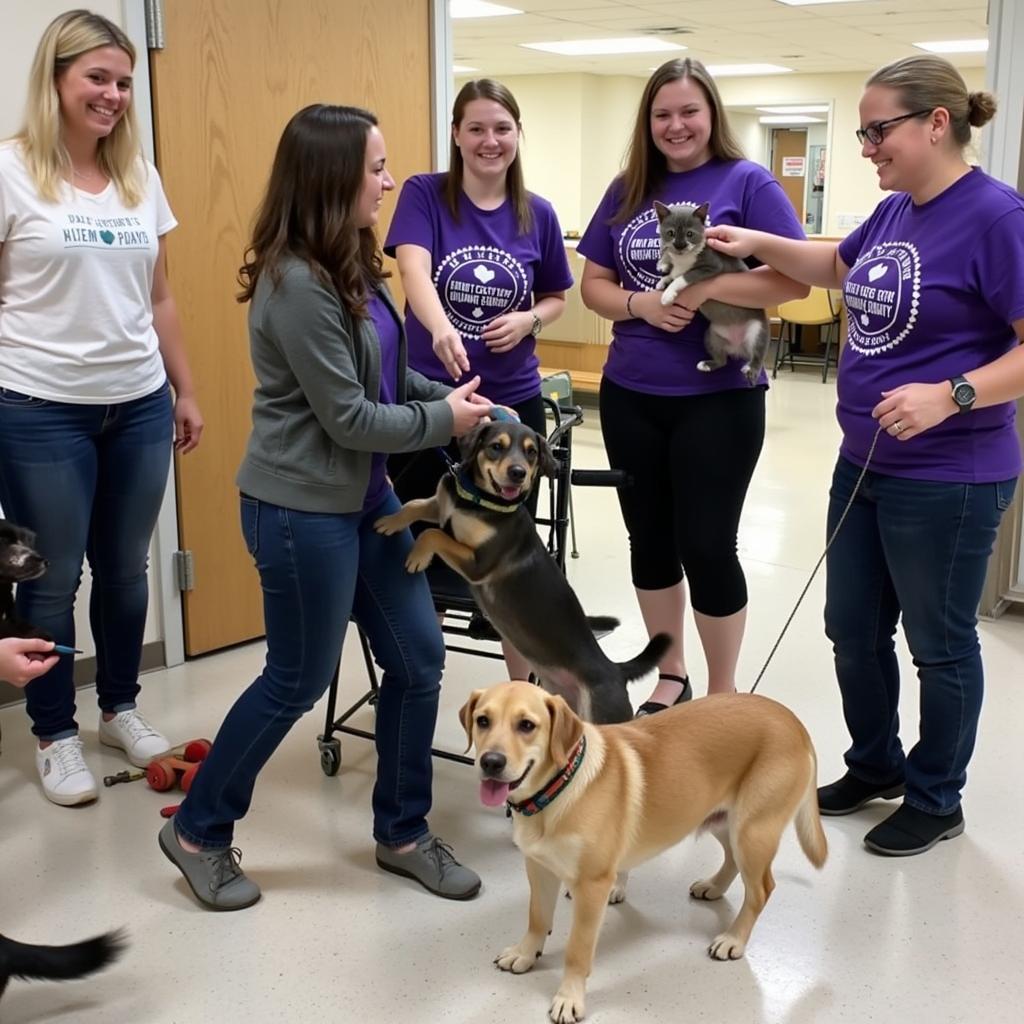 Volunteers caring for animals at Newton County Humane Society