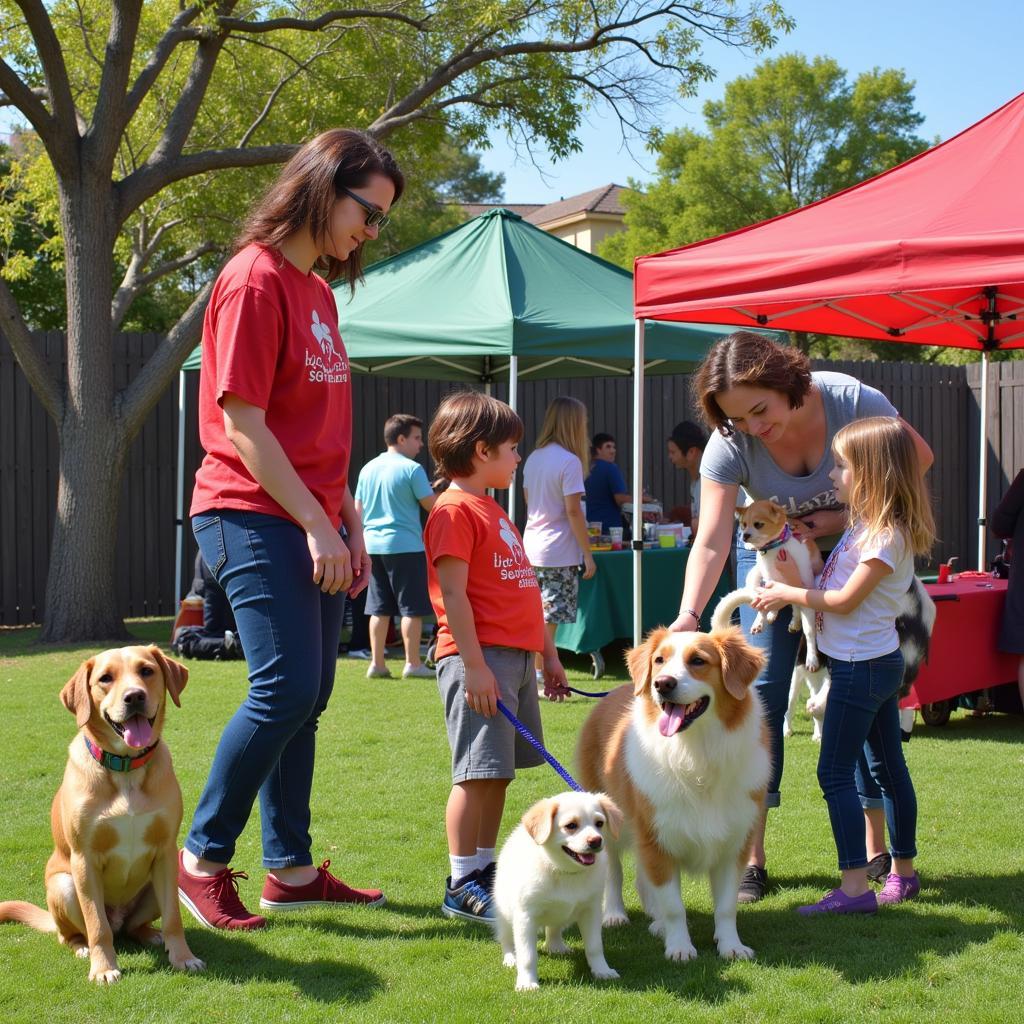 Adoption event at Holiday Humane Society North Hollywood