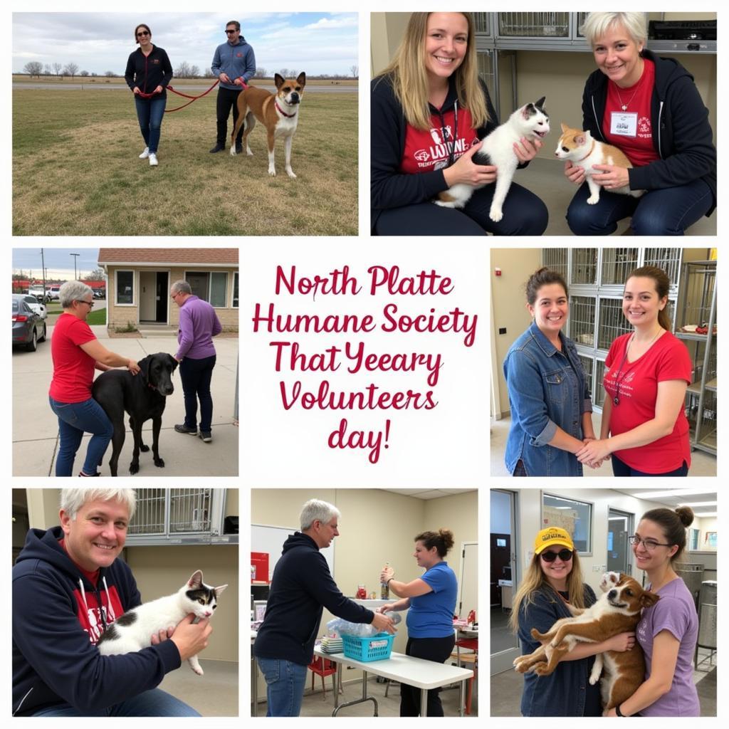 Volunteers assisting with animal care at the North Platte Humane Society