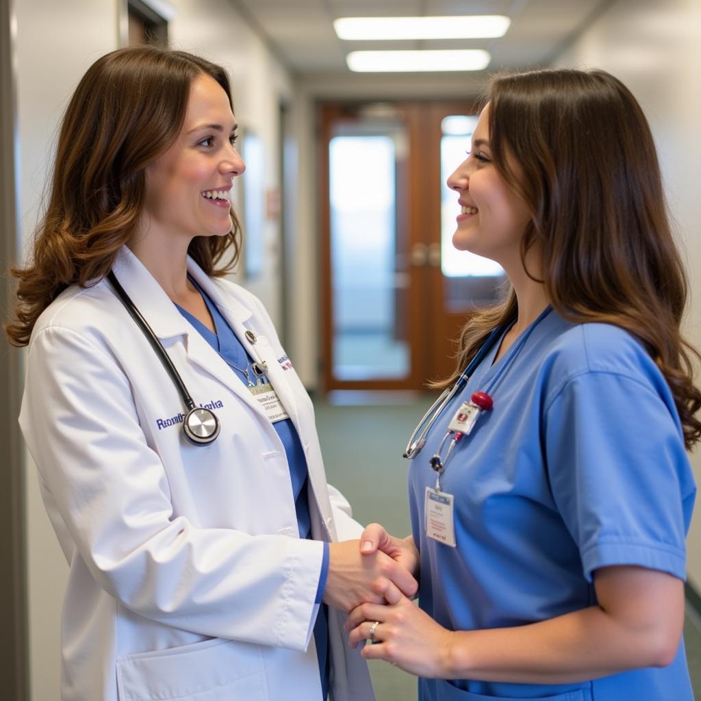 Experienced nurse mentors a young nurse researcher