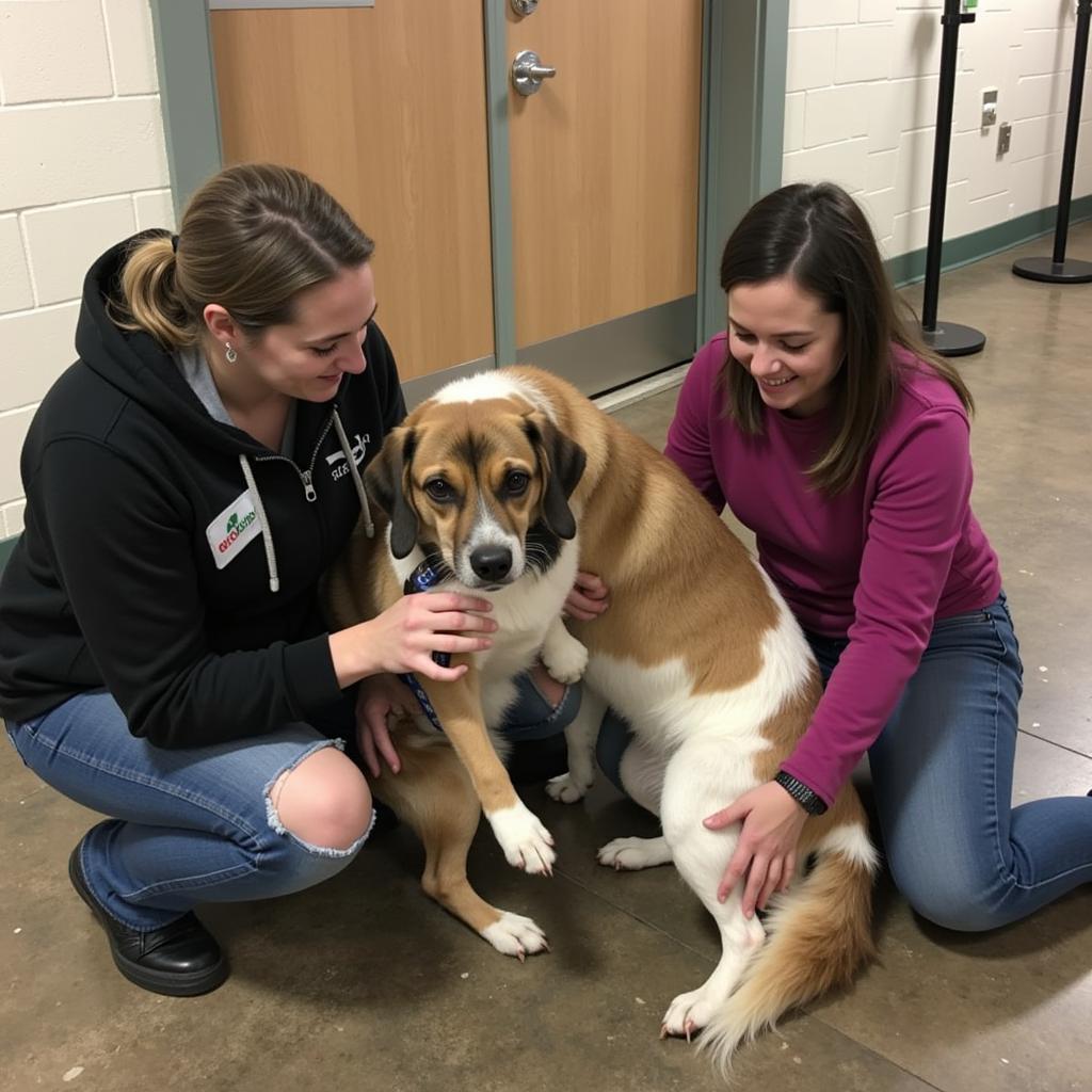 A volunteer assisting a family with adoption paperwork at the Oconto Area Humane Society