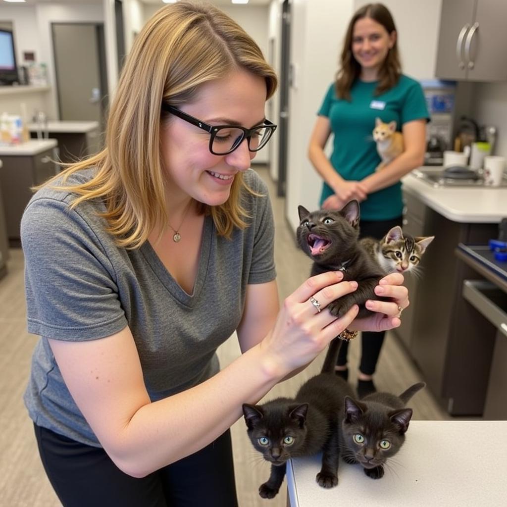 Adoptable pets at the Ogden Weber County Humane Society