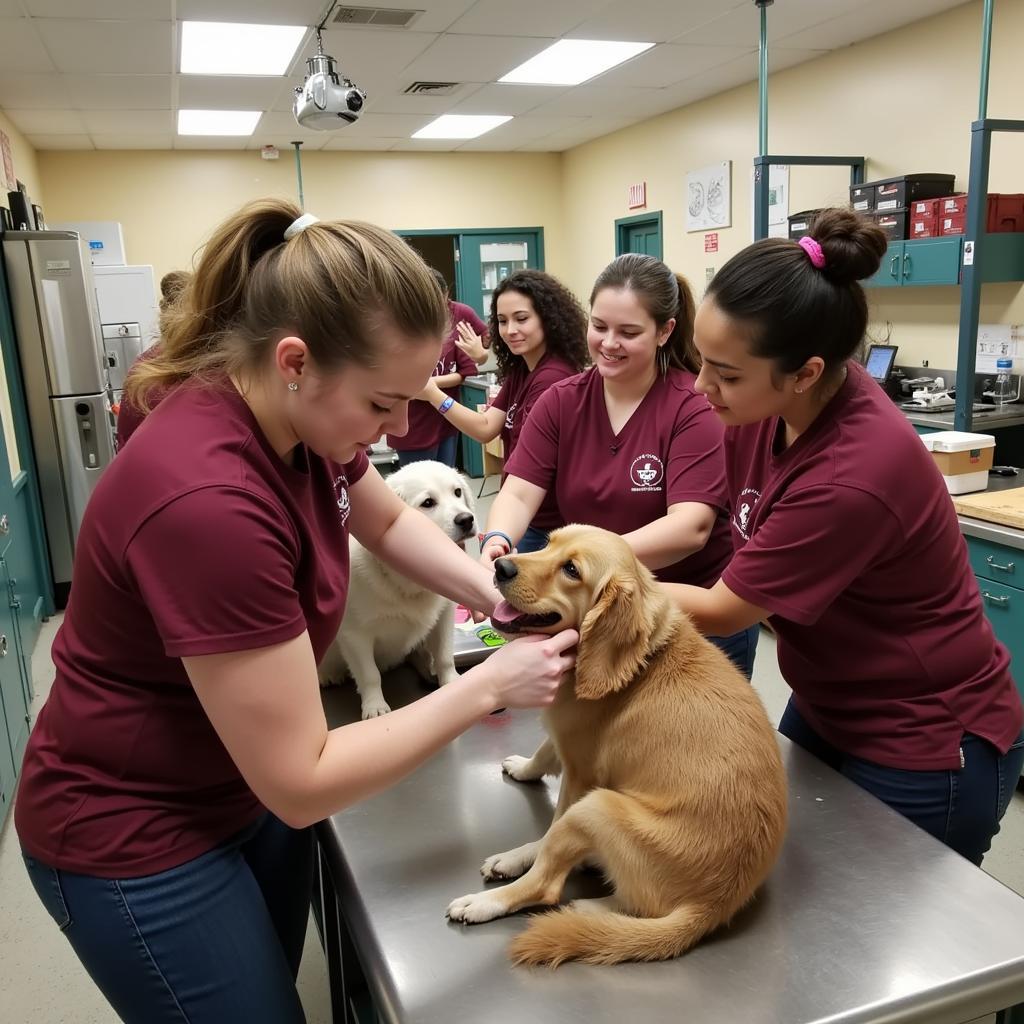 Volunteers at Old Dominion Humane Society Fredericksburg