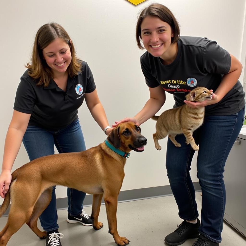 Volunteers interacting with animals at Ouachita Humane Society