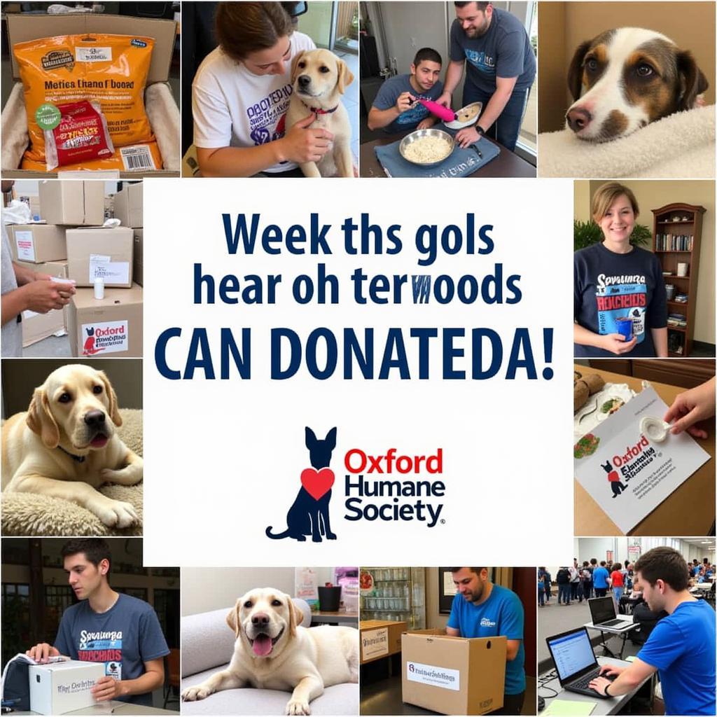 Donations at the Oxford Humane Society