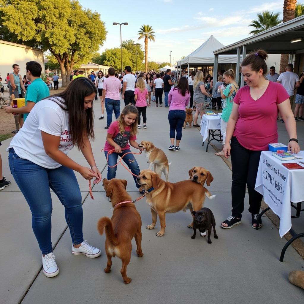 Palm Valley Humane Society Adoption Event