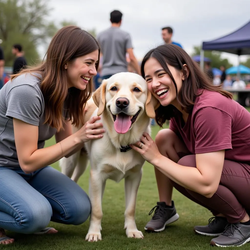 Volunteers interacting with dogs at a Papago Park Humane Society adoption event