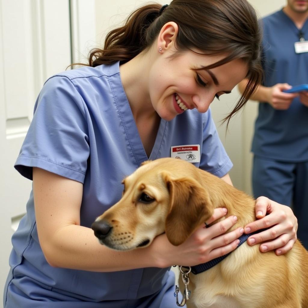 Dedicated animal care professionals tending to a dog at the Pasadena Humane Society