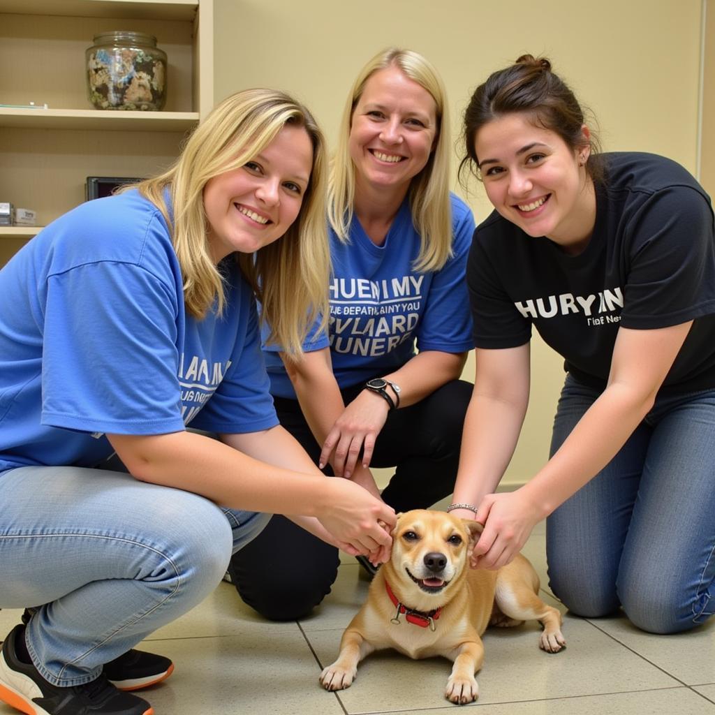 Volunteers at Pitt County Humane Society