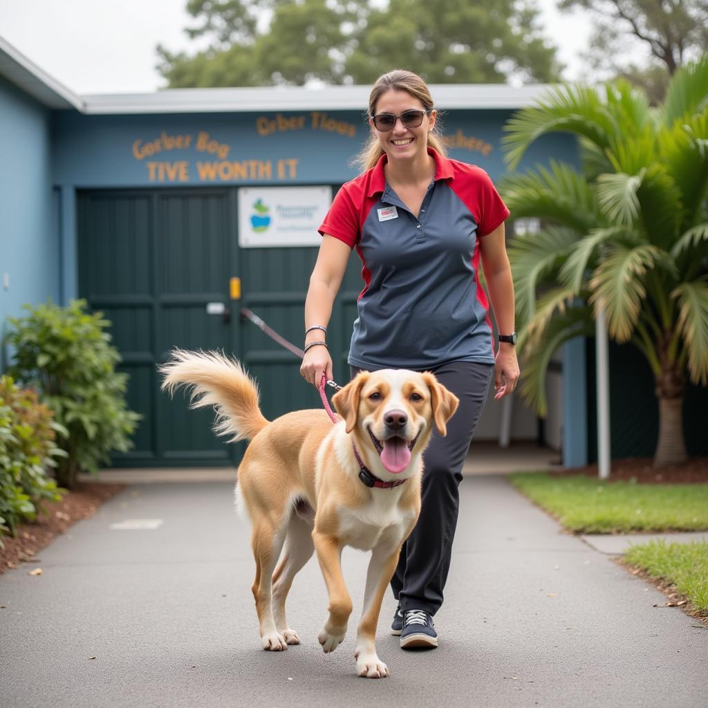 A volunteer walking a dog at the Pompano Humane Society