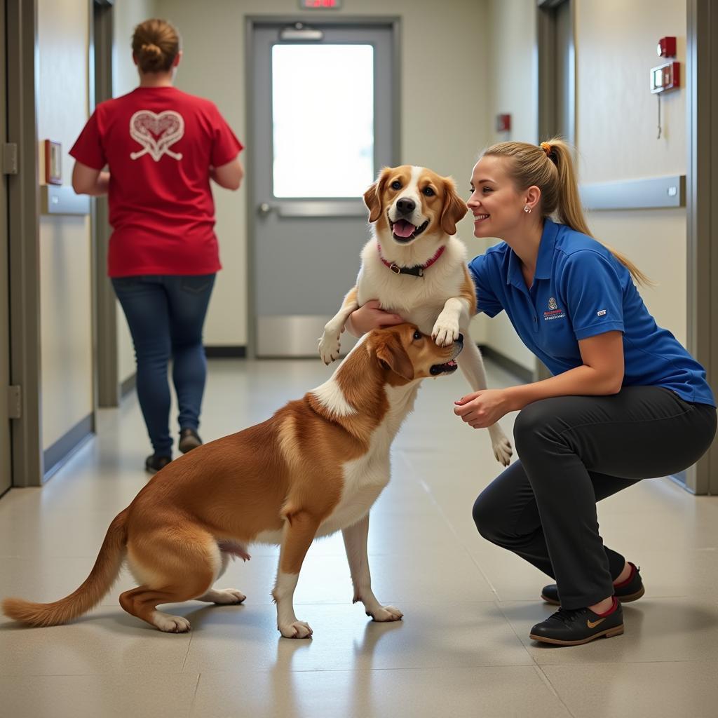 Poteau Valley Humane Society Animal Care