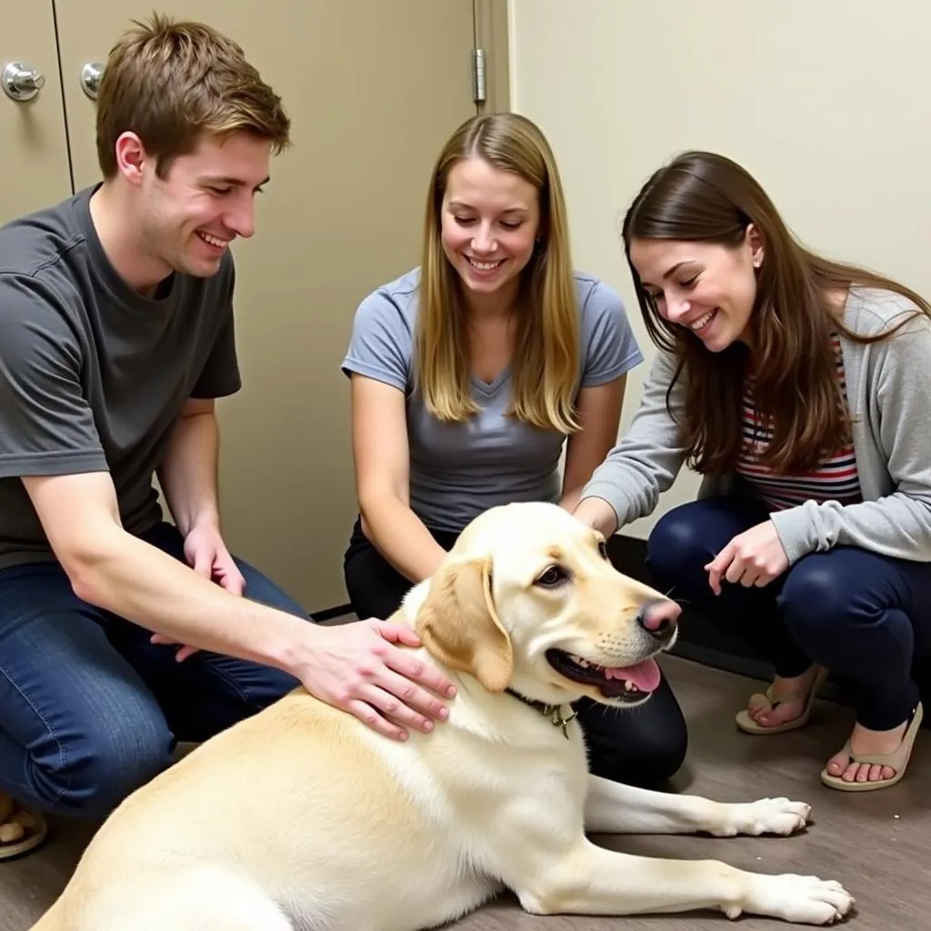 Family meeting a dog at Presque Isle Humane Society