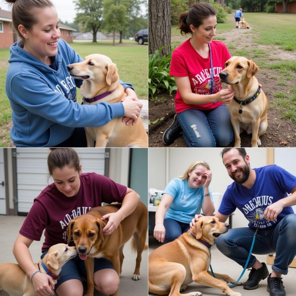 Volunteers at Project Hope Humane Society