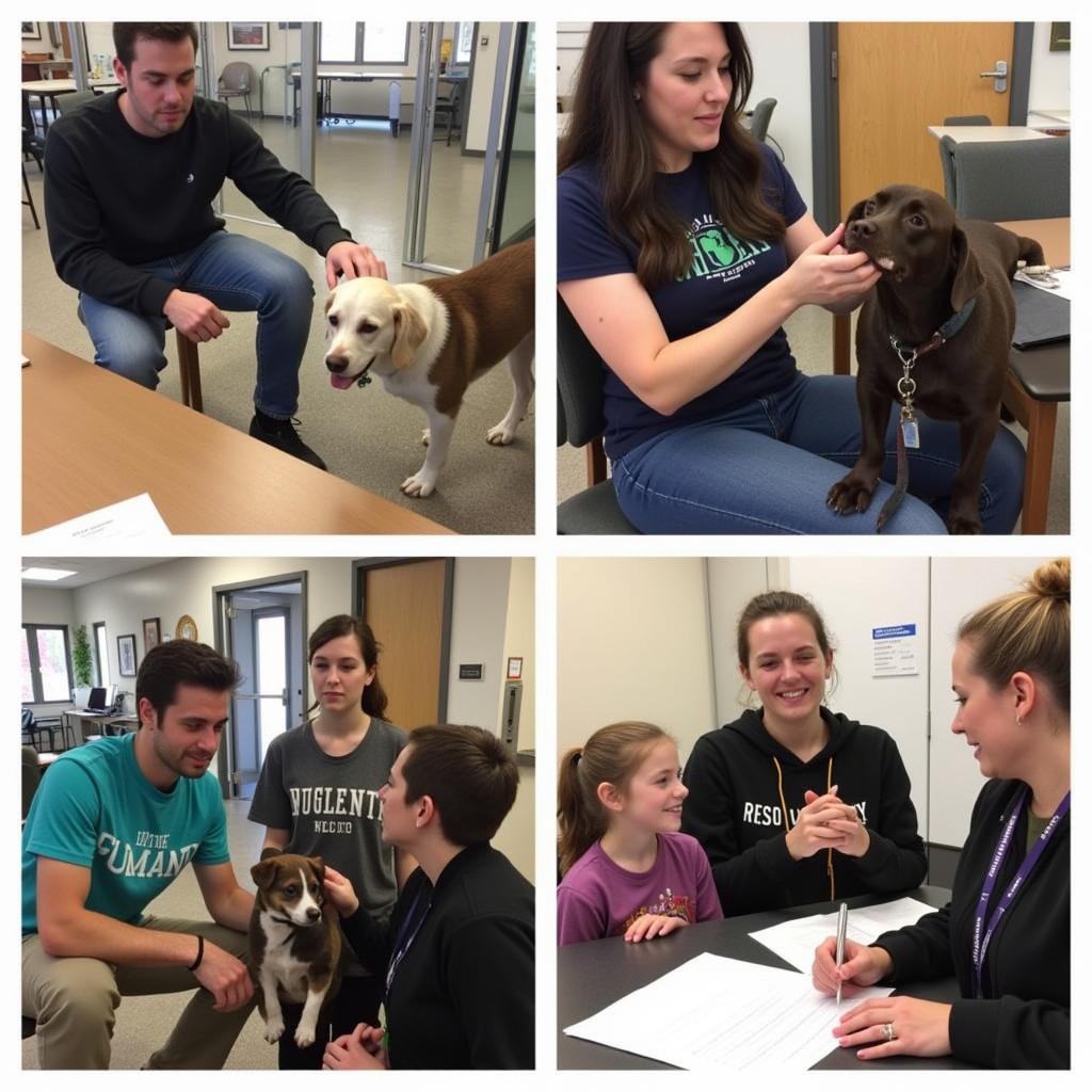  Quincy Humane Society Adoption Process