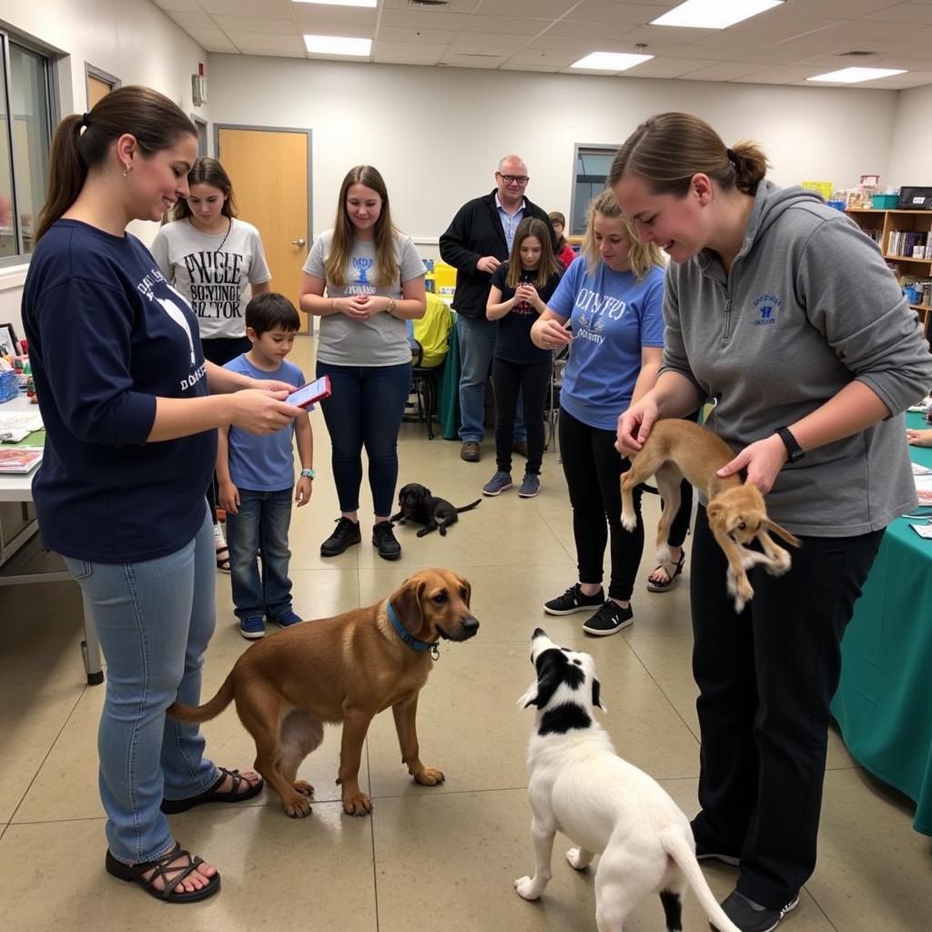 A heartwarming scene of families meeting adorable cats and dogs available for adoption at the Raleigh County Humane Society.