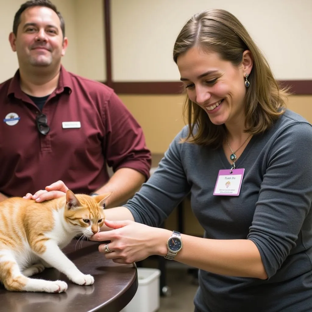 An adoption counselor interacts with a cat at the Red Wing Humane Society