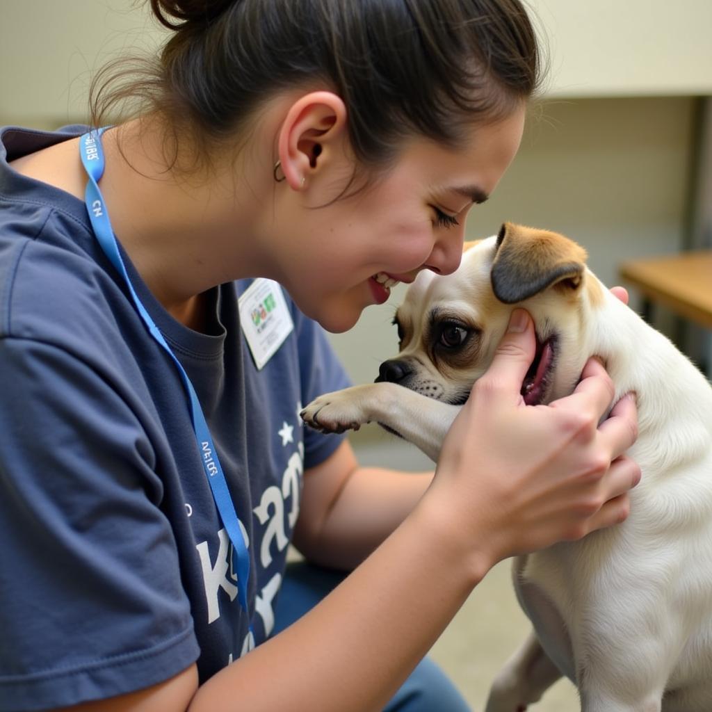 Volunteer spending time with a dog at the RGV Humane Society