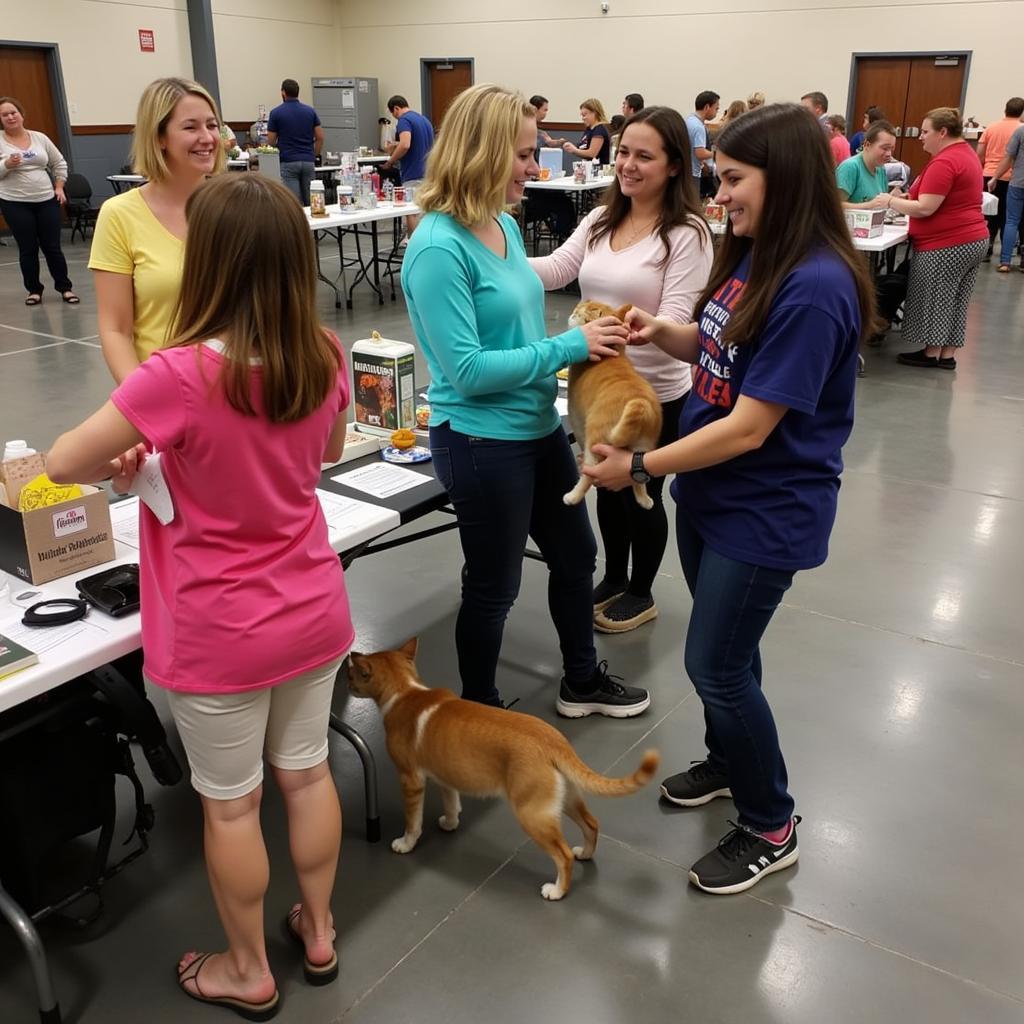 River Cities Humane Society Cat Adoption Event