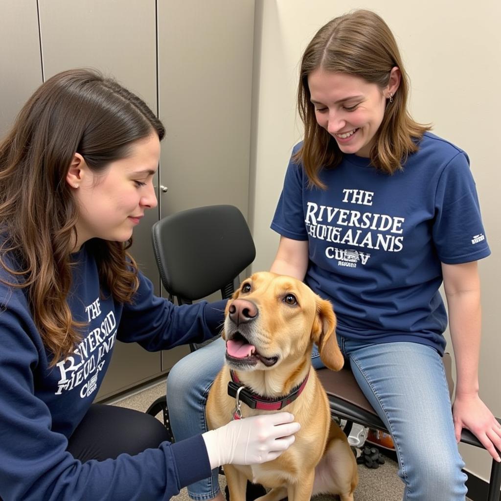 Volunteers socializing animals at Riverside Humane Society