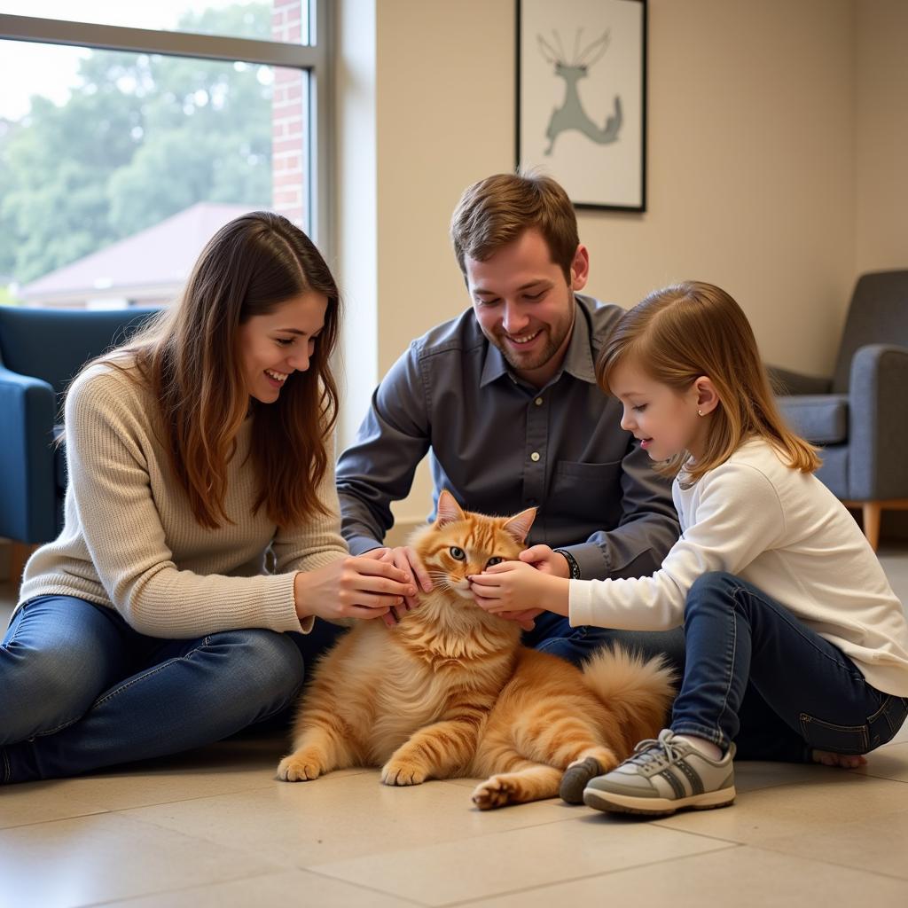 Family meeting an adoptable cat at the Salisbury Humane Society